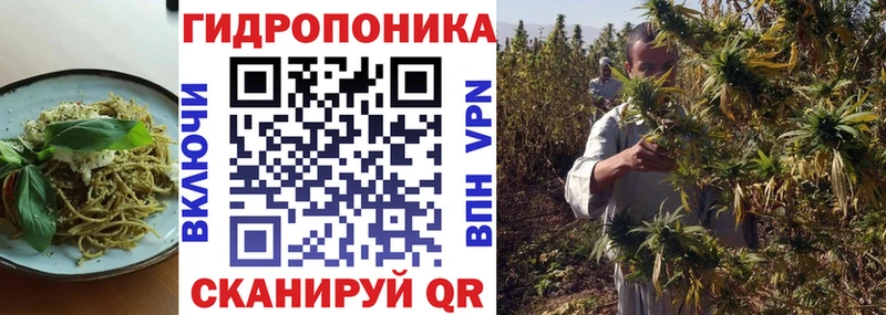 Купить закладки  Фролово  Еда ТГК марихуана 