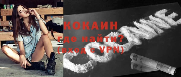 индика Богородск