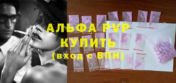 гидра Богданович