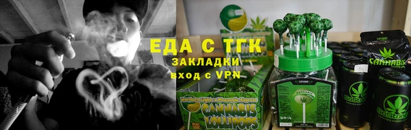 гидра Богданович