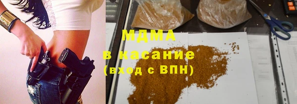 гидра Богданович