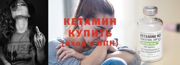 индика Богородск