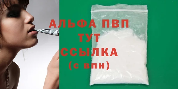 индика Богородск