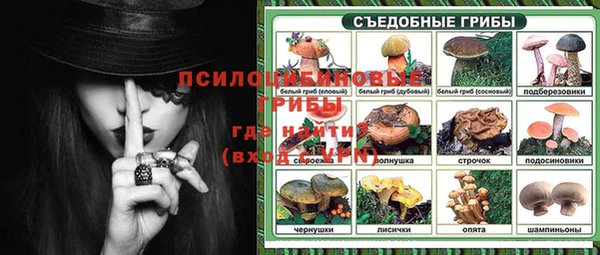индика Богородск