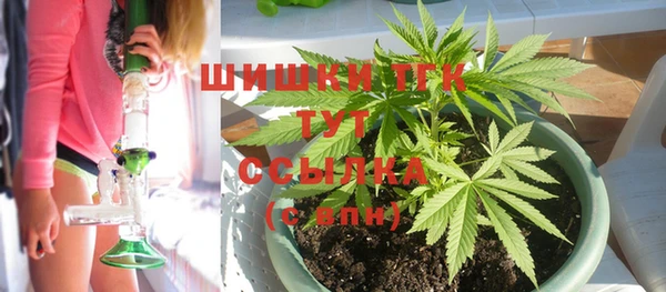 гидра Богданович