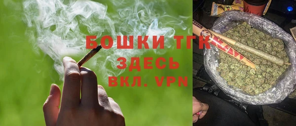 гидра Богданович