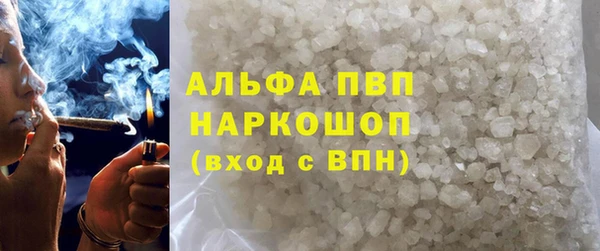 индика Богородск